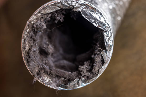 Best Dryer Vent Cleaning in Zachary, LA